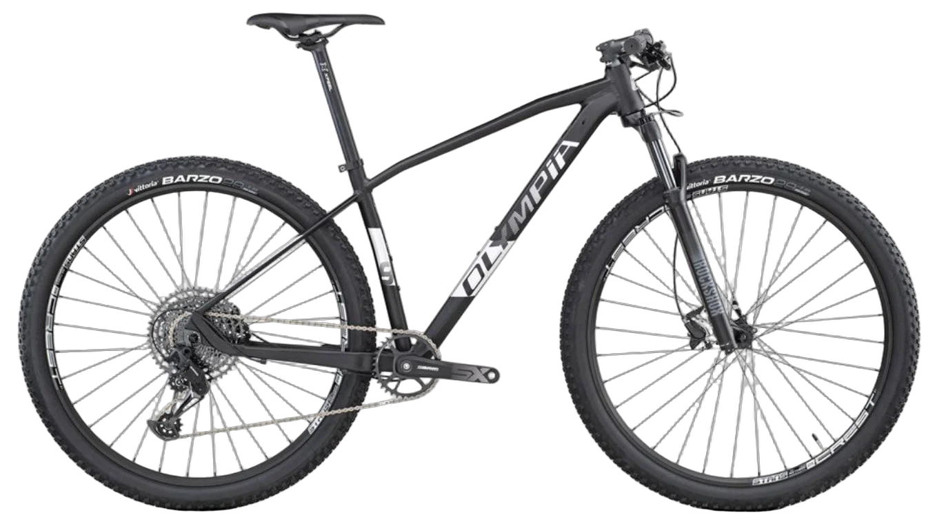 Olympia Drake Mountainbike