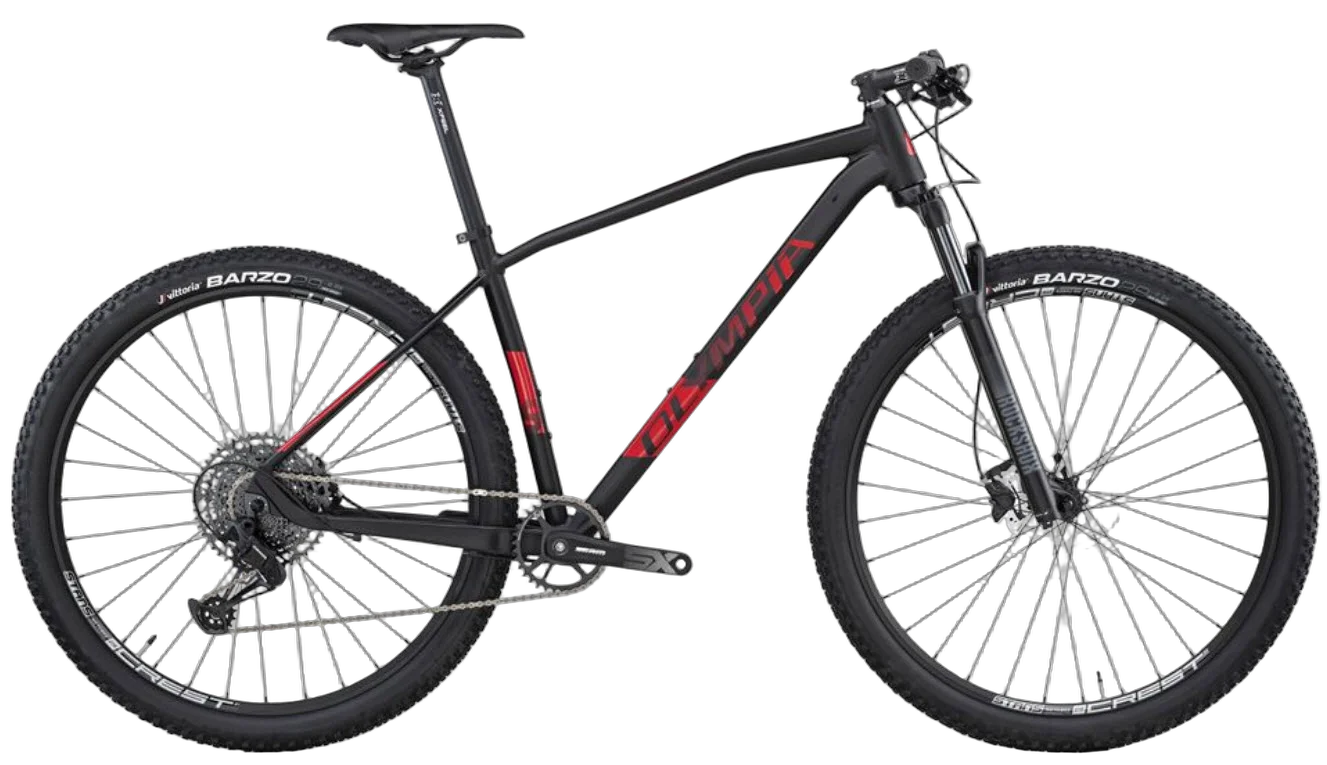 Olympia Drake Mountainbike